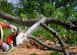 Best Firewood Processing and Delivery  in Lawrence, IN