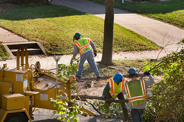 Best Lawn Renovation and Restoration  in Lawrence, IN