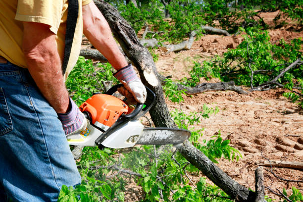 Lawn Irrigation Installation and Maintenance in Lawrence, IN